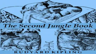 Second Jungle Book | Rudyard Kipling | Action & Adventure | Audiobook Full | English | 2/4