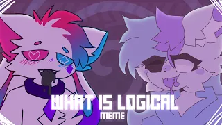 WHAT IS LOGICAL // ANIMATION MEME [COLLAB/KITTYDOG]