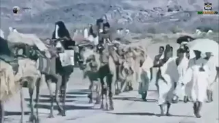 Hajj in 1964 | Old Makkah Video | Makkah in 190s