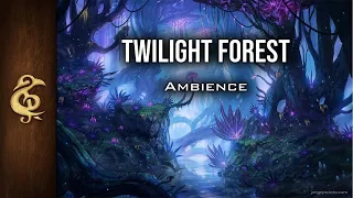 Twilight Forest | Enchanted Ambience | 1 Hour