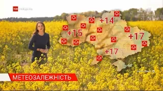 Метеозалежність: якою буде погода в Україні наступного тижня