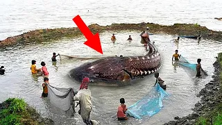 They Caught This Thing And What Happened Next Shocked The Whole World