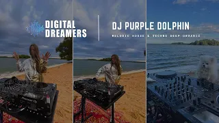 Purple Dolphin┃Digital Dreamers┃Melodic House & Techno & Deep Organic