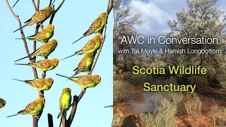 AWC in Conversation with Tali Moyle & Hamish Longbottom: Scotia Wildlife Sanctuary (S3E2)