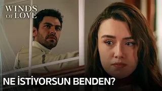 What's Halil's problem with Zeynep? | Winds of Love Episode 22 (EN SUB)