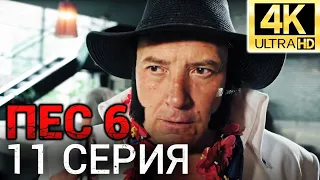 Сериал ПЕС 6 сезон - 11 серия - Все серии подряд в 4К - Смотреть онлайн в хорошем качестве