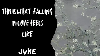 This Is What Falling In Love Feels Like - Jvke (Letra)