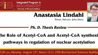 Thesis Defense: Anastasia Lindahl