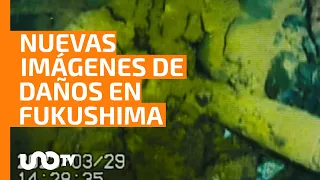 Imágenes muestran daños en central de Fukushima