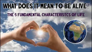 What Does It Mean to be Alive? | The 5 Fundamental Characteristics of Life | Bio 101 | STEMstream