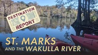 DESTINATION REPORT: Wakulla River & St. Marks, FL (a.k.a. Secrets of the Wakulla River part 1 of 3)