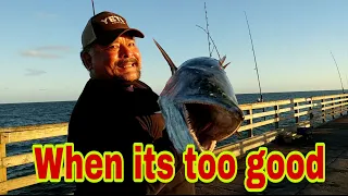 amazing fishing skills Monsters King Fish Burning the Drags using Avet Reel