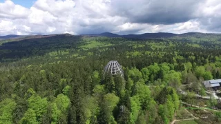 Unterwegs auf dem Baumwipfelpfad Bayerischer Wald