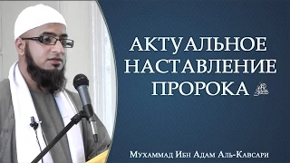 ᴴᴰ Актуальное наставление Пророка ﷺ | Муфтий Мухаммад ибн Адам аль-Кавсари | www.garib.ru