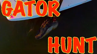 Alligator Hunting in a 24ft Bay Boat | FL Gator Hunting 2021