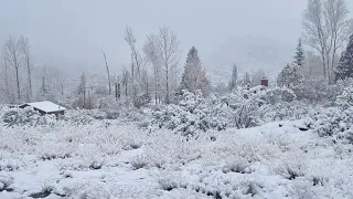 Nieve en Potrerillos, Mendoza