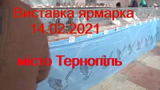 Виставка ярмарка місто Тернопіль 14.02.2021 рік.