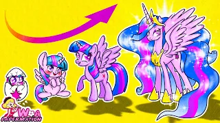 MY LITTLE PONY Transformation : How Did Twilight Sparkle Grow Up ? | 재미있는 스톱 모션 만화