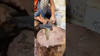 Amazing Magur Fish Cutting Skills In Bangladesh Fish Market #shorts