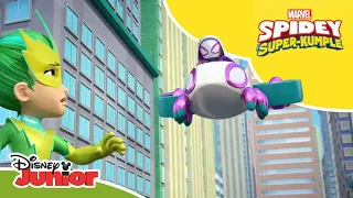 🚦 Czerwone, zielone | Spidey i Super-Kumple | Disney Junior Polska