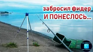 ловля леща на фидер! рыбалка на леща летом на р. Волга