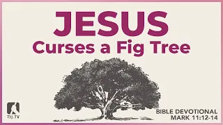 103. Jesus Curses a Fig Tree - Mark 11:12-14