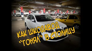 Skoda Octavia: Что Она Может (2020)