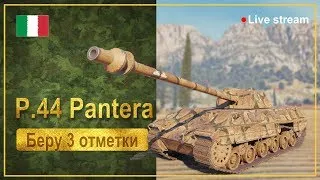 P.44 Pantera. Взял 3 отметки.