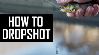 How to DROPSHOT for PERCH? Advanced dropshoting techniques in detail!