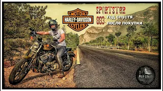 Harley Davidson sportster 883: год спустя после покупки
