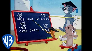 Tom & Jerry in italiano | A Lezione Col Professore Tom | WB Kids