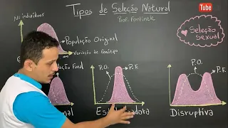 Tipos de seleção natural: Direcional, Estabilizadora, Disruptiva e Sexual - Evolução