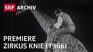 Premiere Circus Knie (1966) | Zirkus in der Schweiz | SRF Archiv