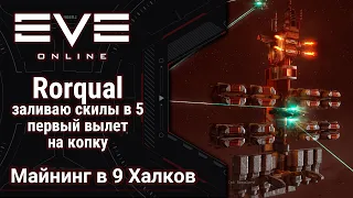 🔴 EVE Online #29 часть 1: Rorqual + 9 hulk's | заливаю скилы в 5 | учу Факс Lif