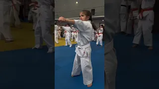 Kyokushin Budokai Ukraine