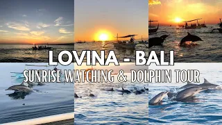 BALI vlog 5: Lovina Bali Sunrise Watching | Lovina Dolphin Tour | Lovina affordable stay | Bali