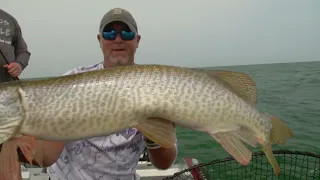 A Musky Dozen