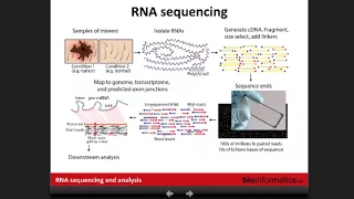 Introduction to RNA Sequencing and Analysis