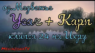 #рр4 оз.Медвежье  Усач+ Карп 21.06