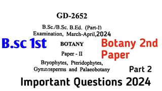 Bsc First Year Botany Second Paper || Bsc First year Botany Durg University Important Question 2024