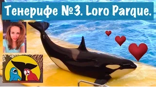 VLOG Путешествие на Тенерифе №3. Идем в Лоро Парк Loro Park Loro Parque Канарские острова.