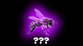 10 "Bee buzzling" sound Variations in 35 Seconds I Ayieeeks Animations