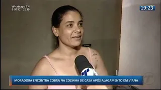 TN2: Moradora encontra cobra na cozinha de casa após alagamento em Viana