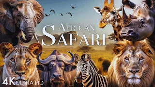 African Safari 4K - Amazing Wildlife of African Savanna | Scenic Relaxation Film | 4K ULTRA HD