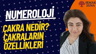 ÇAKRA NEDİR?ÇAKRALARIN ÖZELLİKLERİ NELERDİR?/NUMEROLOJİ