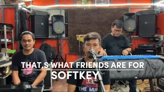 That's What Friends Are For - SOFTKEY Cover (Crestian Momo)