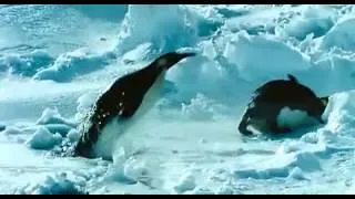 March of the Penguins Trailer
