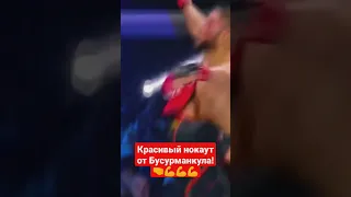 красивый нокаут от Бусурманкула.🤜💪 полный бой здесь в описании 👇 от вас 1 лайк.😉