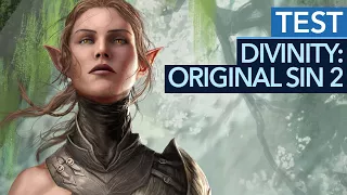 Divinity: Original Sin 2 - Test / Review: Ein MUSS für Rollenspiel-Fans! (Gameplay)