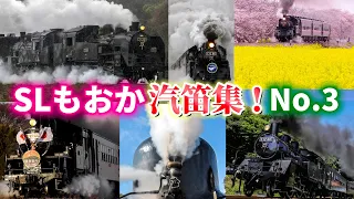 真岡鐵道 SLもおか 汽笛集 ! 第3弾 C1266 C11325 蒸気機関車 汽笛 爆煙